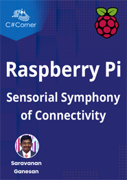 Raspberry Pi -Sensorial Symphony of Connectivity